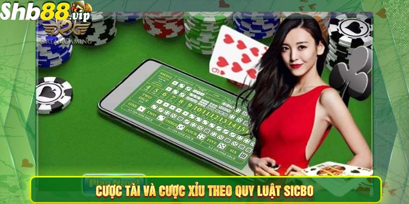 Cược tài và cược xỉu theo quy luật sicbo